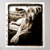 Kernasiel: voorzitter Ballou Poster (Voorkant)