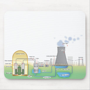 kernreactor muismat