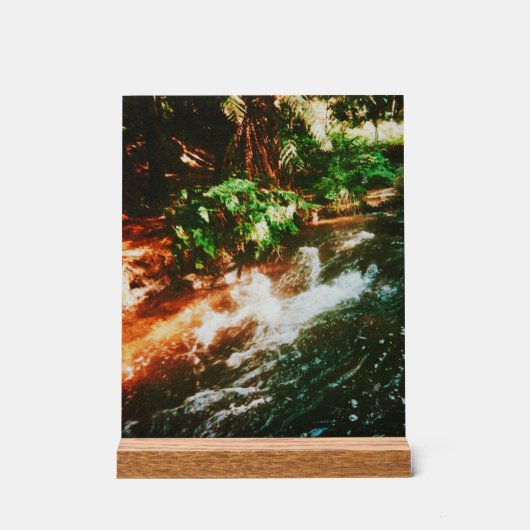 Kerosene Creek, Rotorua, Nieuw-Zeeland Acryl Bord (Voorkant)