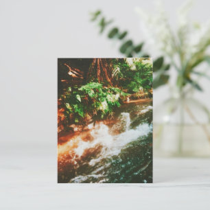 Kerosene Creek, Rotorua, Nieuw-Zeeland Briefkaart