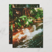 Kerosene Creek, Rotorua, Nieuw-Zeeland Briefkaart (Voorkant / Achterkant)