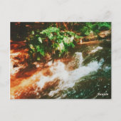 Kerosene Creek, Rotorua, Nieuw-Zeeland Briefkaart (Achterkant)