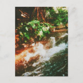 Kerosene Creek, Rotorua, Nieuw-Zeeland Briefkaart (Voorkant)