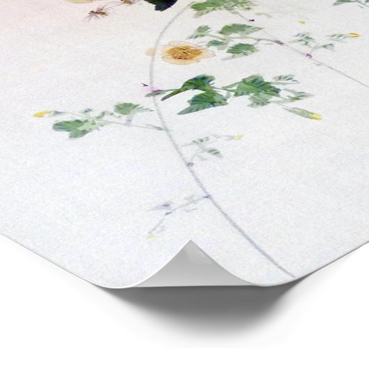 Kerria Japonica Blossom en Bee, Watanabe Seitei Poster (Hoek)