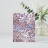 Kerriebomen in bloesems briefkaart (Staand voorkant)