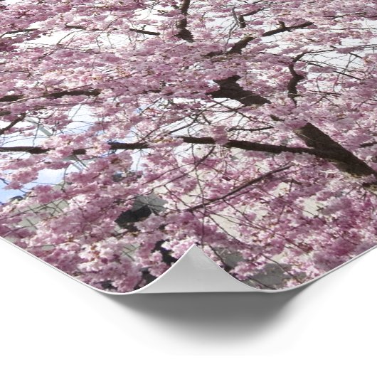 Kerriebomen in bloesems poster (Hoek)