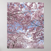 Kerriebomen in bloesems poster (Voorkant)