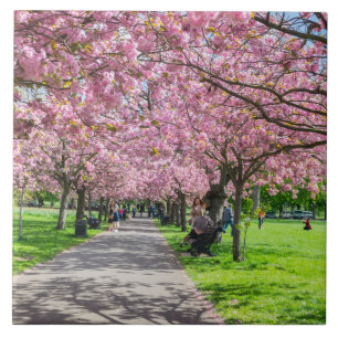 Kerry blossom keramische tegel tegeltje