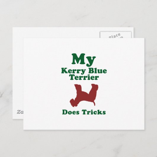 Kerry Blue Terrier Briefkaart (Voorkant / Achterkant)