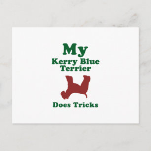 Kerry Blue Terrier Briefkaart