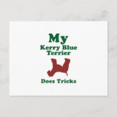 Kerry Blue Terrier Briefkaart (Voorkant)