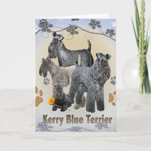 Kerry Blue Terrier Cards Kaart (Voorkant)