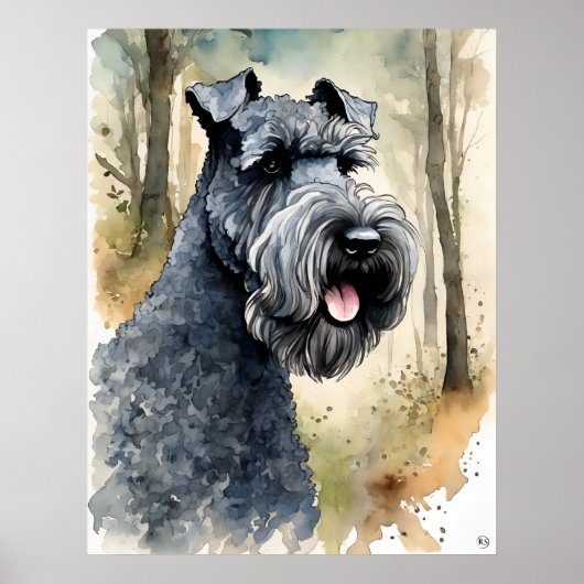 Kerry Blue Terrier - Hond Art Print (Voorkant)