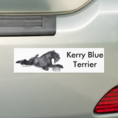 Kerry Blue Terrier met Bowl Bumpersticker (Op auto)