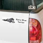 Kerry Blue Terrier met Bowl Bumpersticker (Op Truck)