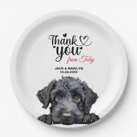 Kerry Blue Terrier Papieren Bordje (Voorkant)