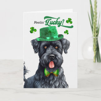 Kerry Blue Terrier Voelt Zich Gelukkig St. Patrick Feestdagen Kaart