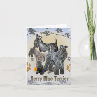 Kerry Blue Terrier-Wenskaarten Kaart