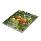 Kerry tomaten op wijn Natuur Tegeltje (Zijkant)