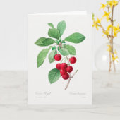 Kers Botanische Print Kaart (Gele Bloem)
