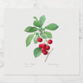 Kers Botanische Print Sparkling Wijnetiket (Enkel label)