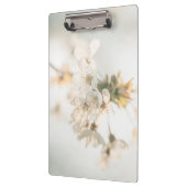 Kers natuurfoto klembord (Links)