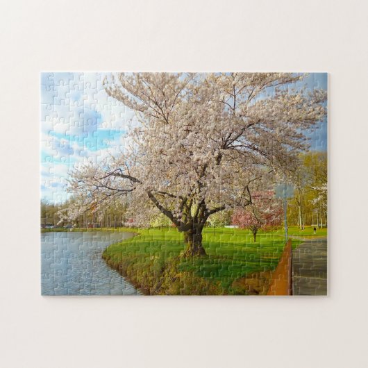 Kersbloesem New Jersey. Legpuzzel (Horizontaal)