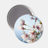 Kersbloesems met achtergrondverlichting magneet (Voorkant / Achterkant)