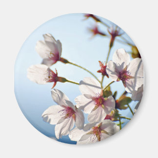 Kersbloesems met achtergrondverlichting magneet