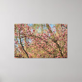 Kersboom staat klaar om te bloeien in lentetuin canvas afdruk (Voorkant)