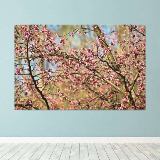 Kersboom staat klaar om te bloeien in lentetuin canvas afdruk (Insitu (Houten vloer))