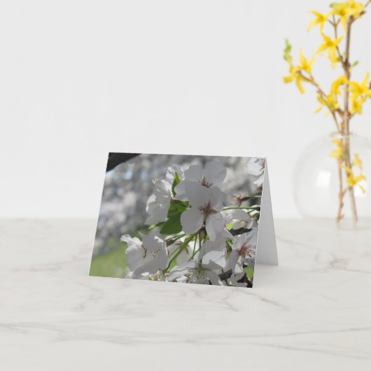 Kersebloesem Witte Kersengroetkaart  Kaart (Gele Bloem)