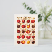 kersen Antiek kersen fruit Briefkaart (Staand voorkant)