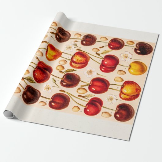  kersen Antiek kersen fruit Cadeaupapier (Uitgerold)