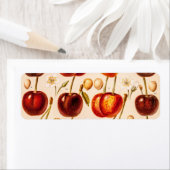  kersen Antiek kersen fruit Etiket