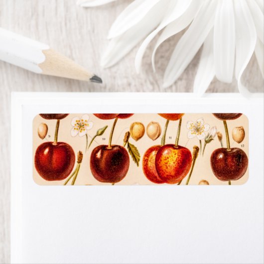  kersen Antiek kersen fruit Etiket (Insitu)