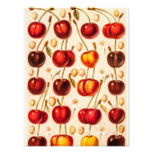  kersen Antiek kersen fruit Foto Afdruk (Voorkant)