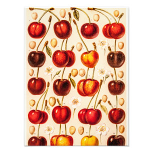 kersen Antiek kersen fruit Foto Afdruk