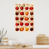  kersen Antiek kersen fruit Poster (Keuken)