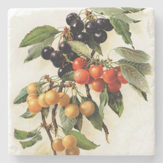 Kersen Botanische Print Vierkant Stenen Onderzetter (Voorkant)