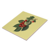 Kersen ~ Botanische Tegel ~ Keuken ~ Kleur ~ Tegeltje (Zijkant)