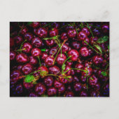 Kersen Briefkaart (Voorkant)