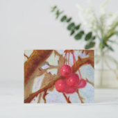 Kersen, Briefkaart (Staand voorkant)