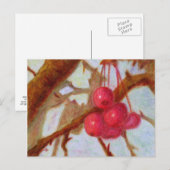 Kersen, Briefkaart (Voorkant / Achterkant)