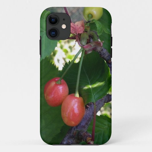 Kersen die rood worden Case-Mate iPhone case (Achterkant)