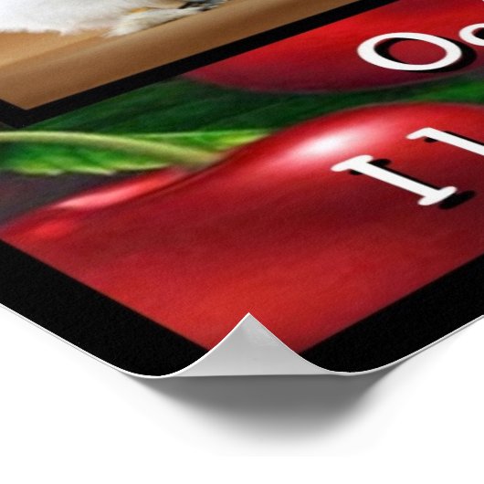 Kersen en Silkie Poster (Hoek)