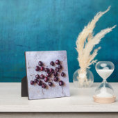 Kersen Fotoplaat (Insitu)