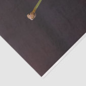 Kersen in roze kom voor fruitliefhebber tissuepapier (Detail)