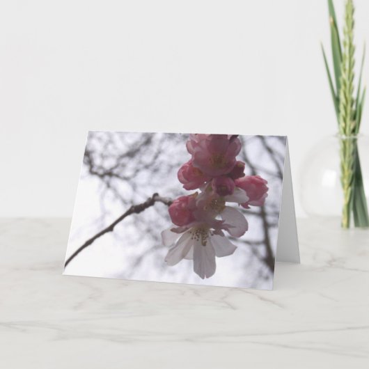 kersen kaart (Voorkant)