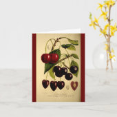 Kersen Kaart (Gele Bloem)